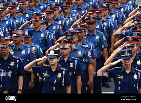 pnpfs.gov.ph online payslip|pnpfs.ph.